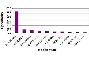 Histone H3 trimethyl Lys27 antibody specificity tested by peptide array analysis.