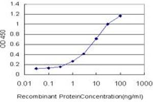 Detection limit for recombinant GST tagged PCDHB3 is approximately 0. (PCDHB3 anticorps  (AA 284-381))
