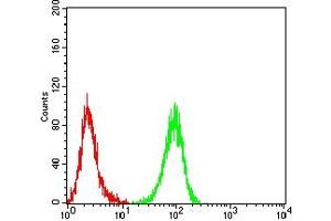 Flow cytometric analysis of Hela cells using DFFA mouse mAb (green) and negative control (red).