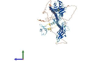 AlphaFold protein structure predicition of Mouse Recombinant Trim9 Protein, UniprotID Q8C7M3