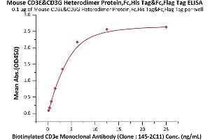 Immobilized Mouse CD3E&CD3G Heterodimer Protein,Fc,His Tag&Fc,Flag Tag (ABIN6973003) at 1 μg/mL (100 μL/well) can bind Biotinylated CD3e Monoclonal Antibody (Clone : ) with a linear range of 0. (CD3E & CD3G (AA 23-108) (Active) protein (His tag,Fc Tag,DYKDDDDK Tag))