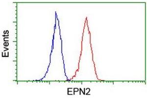 Image no. 13 for anti-Epsin 2 (EPN2) antibody (ABIN1498050)