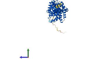 AlphaFold protein structure predicition of Mouse Recombinant Bzw1 Protein, UniprotID Q9CQC6