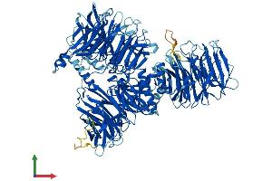 AlphaFold protein structure predicition of Mouse Recombinant Sf3b3 Protein, UniprotID Q921M3