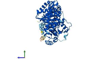 AlphaFold protein structure predicition of Human Recombinant TUBA4A Protein, UniprotID P68366