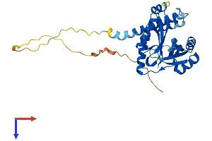 AlphaFold protein structure predicition of Human Recombinant TACO1 Protein, UniprotID Q9BSH4