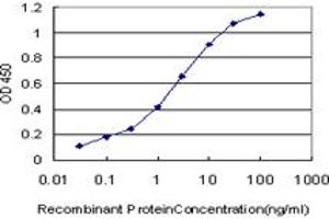 Detection limit for recombinant GST tagged PDE10A is approximately 0. (PDE10A anticorps  (AA 242-333))
