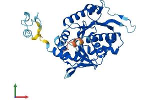 AlphaFold protein structure predicition of Mouse Recombinant Nubp1 Protein, UniprotID Q9R060