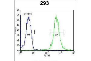 Flow cytometric analysis of 293 cells (right histogram) compared to a negative control cell (left histogram).