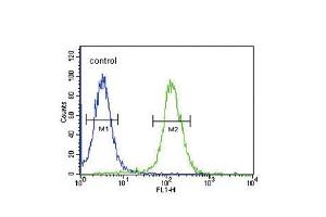 Flow cytometric analysis of 293 cells (right histogram) compared to a negative control cell (left histogram). (Neuropeptide FF anticorps  (C-Term))