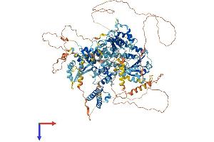 AlphaFold protein structure predicition of Mouse Recombinant Recql4 Protein, UniprotID Q75NR7