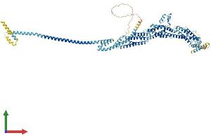 AlphaFold protein structure predicition of Mouse Recombinant Exoc6b Protein, UniprotID A6H5Z3