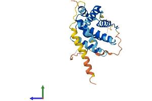 AlphaFold protein structure predicition of Human Recombinant BCL2 Protein, UniprotID P10415