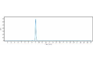 The purity of anti- Human CDH17( 10C12) is 98.