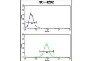 DNM3 Antibody (Center) (ABIN652780 and ABIN2842512) flow cytometry analysis of NCI- cells (bottom histogram) compared to a negative control cell (top histogram).