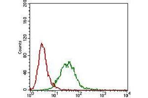 Flow cytometric analysis of Hela cells using CTNNBL1 mouse mAb (green) and negative control (red).