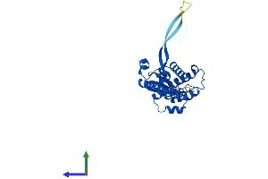 AlphaFold protein structure predicition of Mouse Recombinant Thg1l Protein, UniprotID Q9CY52