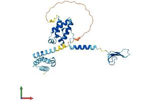 AlphaFold protein structure predicition of Human Recombinant TCEA2 Protein, UniprotID Q15560