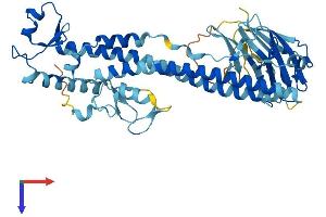 AlphaFold protein structure predicition of Mouse Recombinant Trim43b Protein, UniprotID P86448
