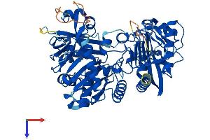 AlphaFold protein structure predicition of Mouse Recombinant Fpgt Protein, UniprotID G5E8F4