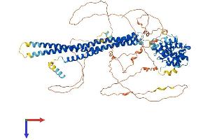 rho GTPase Activating Protein 44 (ARHGAP44) (AA 1-814) protein (His tag)