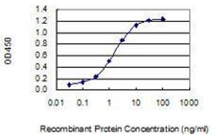 Detection limit for recombinant GST tagged DCLK3 is 0.