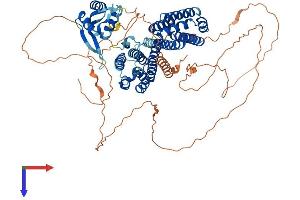 AlphaFold protein structure predicition of Human Recombinant RFX4 Protein, UniprotID Q33E94