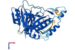 AlphaFold protein structure predicition of Human Recombinant GLOD4 Protein, UniprotID Q9HC38