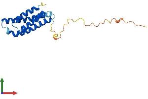 AlphaFold protein structure predicition of Mouse Recombinant Agtrap Protein, UniprotID Q9WVK0