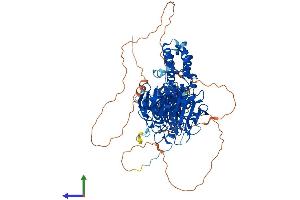 AlphaFold protein structure predicition of Mouse Recombinant Klhl1 Protein, UniprotID Q9JI74