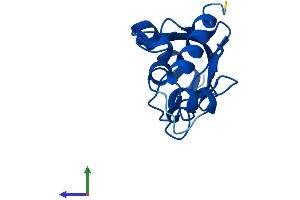 AlphaFold protein structure predicition of Human Recombinant UBE2B Protein, UniprotID P63146