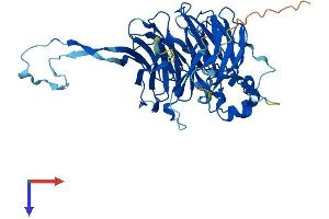 AlphaFold protein structure predicition of Human Recombinant PPP2R2D Protein, UniprotID Q66LE6