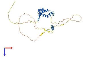 AlphaFold protein structure predicition of Mouse Recombinant Tgif1 Protein, UniprotID P70284