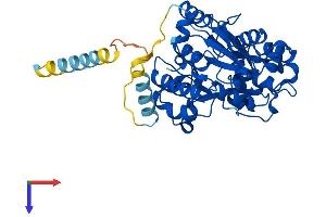 AlphaFold protein structure predicition of Mouse Recombinant Gcnt2 Protein, UniprotID P97402
