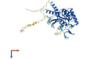 AlphaFold protein structure predicition of Mouse Recombinant Septin3 Protein, UniprotID Q9Z1S5