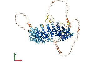 AlphaFold protein structure predicition of Human Recombinant LINS1 Protein, UniprotID Q8NG48