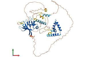 AlphaFold protein structure predicition of Human Recombinant HBP1 Protein, UniprotID O60381