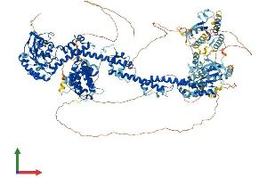 AlphaFold protein structure predicition of Mouse Recombinant Arhgap35 Protein, UniprotID Q91YM2