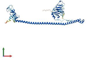 AlphaFold protein structure predicition of Mouse Recombinant Trim11 Protein, UniprotID Q99PQ2