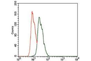 Flow cytometric analysis of HeLa cells using CK5 mouse mAb (green) and negative control (red).