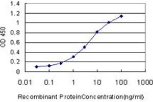 Detection limit for recombinant GST tagged TIMP2 is approximately 0. (TIMP2 anticorps  (AA 27-220))