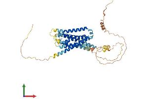 AlphaFold protein structure predicition of Human Recombinant GPR61 Protein, UniprotID Q9BZJ8