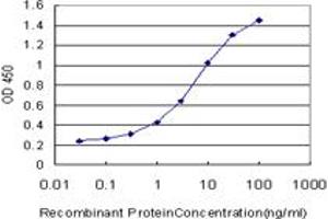Detection limit for recombinant GST tagged TLN1 is approximately 0. (TLN1 anticorps  (AA 1052-1149))