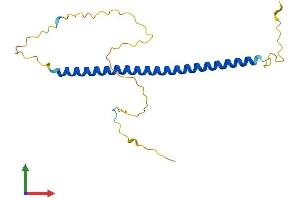 AlphaFold protein structure predicition of Mouse Recombinant Bloc1s3 Protein, UniprotID Q5U5M8
