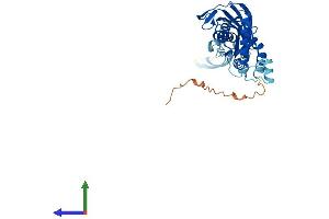 AlphaFold protein structure predicition of Human Recombinant TRUB2 Protein, UniprotID O95900