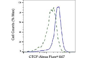 Validation of CTCF knockdown using flow cytometry.