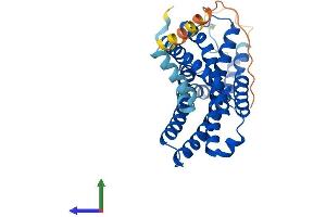 AlphaFold protein structure predicition of Mouse Recombinant Ffar2 Protein, UniprotID Q8VCK6
