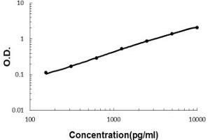 Sandwich ELISA - Recombinant human Kallikrein 1/KLK1 protein standard curve. (Kallikrein 1 anticorps  (AA 25-262))