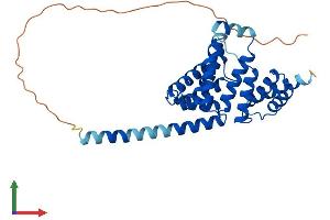 AlphaFold protein structure predicition of Human Recombinant RMDN1 Protein, UniprotID Q96DB5