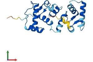 AlphaFold protein structure predicition of Human Recombinant CIB3 Protein, UniprotID Q96Q77